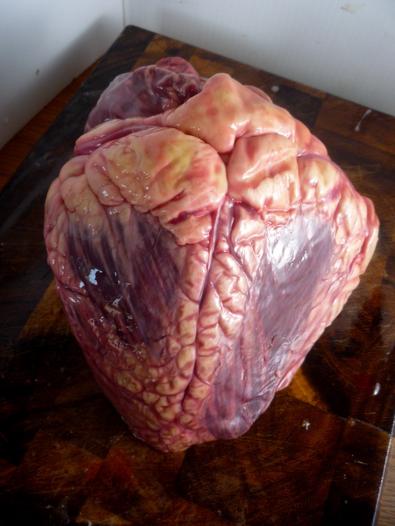 Mon chien peut-il manger du cœur de bœuf ? Les bienfaits expliqués par un vétérinaire.