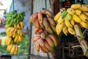 Un vétérinaire répond : mon chien peut-il manger de la banane plantain ?