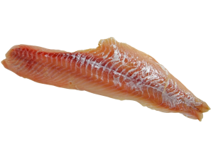 Mon chien peut-il manger du colin ? Un vétérinaire vous répond.