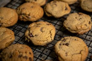 Mon chien peut-il manger des cookies pour chien ? Les bienfaits expliqués par un vétérinaire