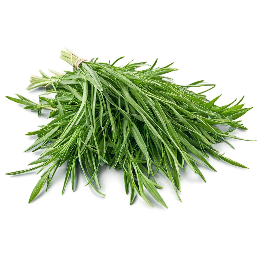 Mon chien peut-il manger de l’estragon ? Un vétérinaire vous répond.