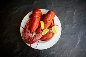Mon chien peut-il manger du homard ? Un vétérinaire vous répond