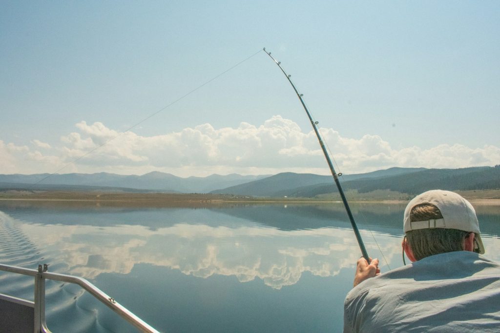 Mon chien peut-il manger de la perche ? Un vétérinaire vous répond.