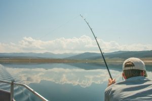 Mon chien peut-il manger de la perche ? Un vétérinaire vous répond.